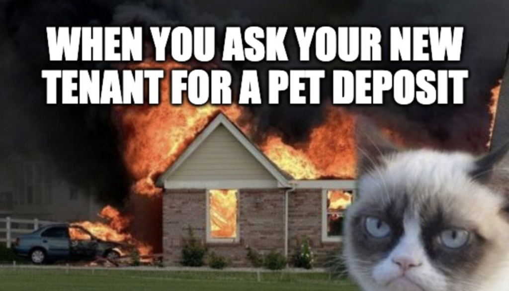 Tenants and pet deposit